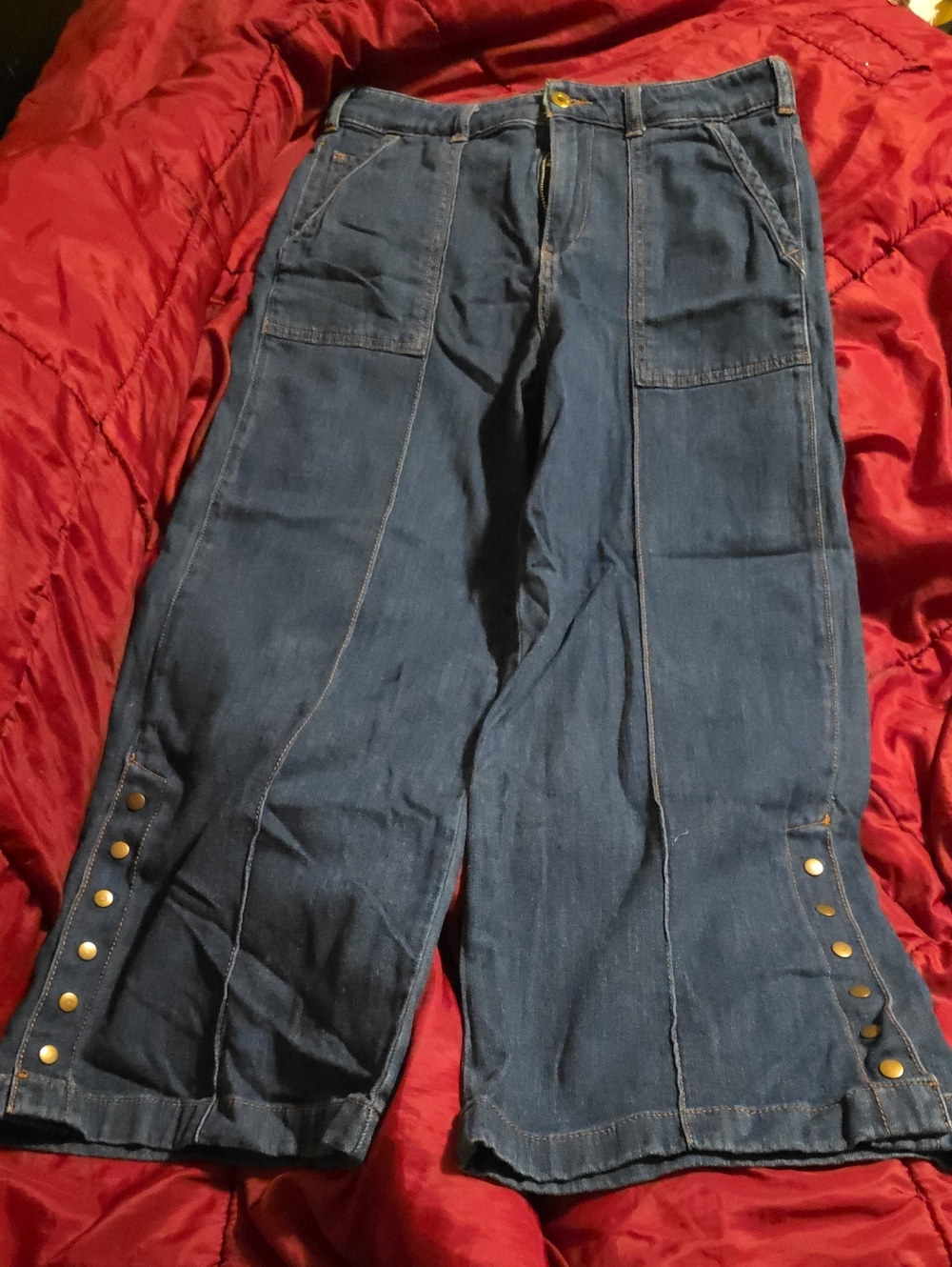 Anthropologie Pilcro And The Letter Press Wide Leg Crop Jeans, Sz 28